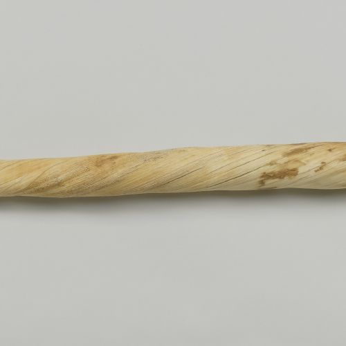 Eines der Merkmale des Narwals ist ein Stoßzahn (Ainkhürn genannt), der zumeist bei den Männchen auftaucht. Früherer Vorstellung zufolge das an der Stirn getragene Horn des sagenhaften Einhorns, in Wirklichkeit ist es ein Stoßzahn des Narwals.